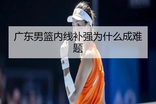广东男篮内线补强为什么成难题