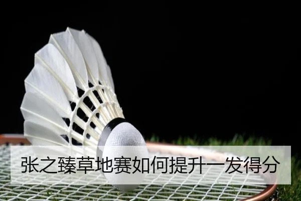 img_1781168513563_221_1_611.jpg